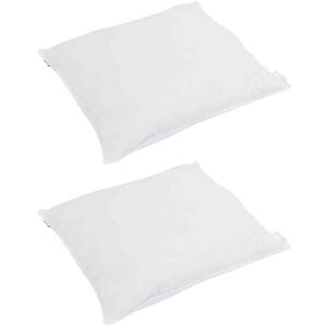 vidaXL Hoofdkussen met kussen 2 pcs Wit 40 x 40 cm Veren vidaXL Hoofdkussen met kussen 2 pcs Wit 40 x 40 cm Veren