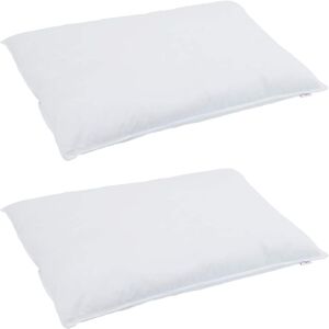 vidaXL Hoofdkussen met kussen 2 pcs Wit 40 x 80 cm Veren vidaXL Hoofdkussen met kussen 2 pcs Wit 40 x 80 cm Veren