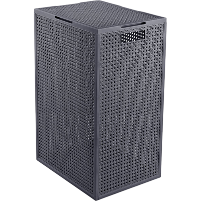 Curver Kaya wasmand met deksel - 60 liter - 38 x 29 x 58,5 cm - Antraciet - Premium opbergoplossing, duurzaam kunststof, moderne huisorganisatie Curver Kaya wasmand met deksel - 60 liter - 38 x 29 x 58,5 cm - Antraciet - Premium opbergoplossing, duurzaam kunststof, moderne huisorganisatie