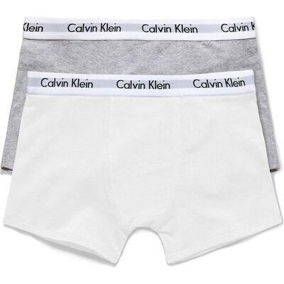 Calvin Klein 2-pack jongens-briefjes 926 wit/grijs, maat 45938 Calvin Klein 2-pack jongens-briefjes 926 wit/grijs, maat 45938