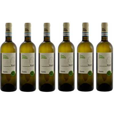 Torre del Falasco Soave Witte Wijn - 6 x 750 ml Torre del Falasco Soave Witte Wijn - 6 x 750 ml