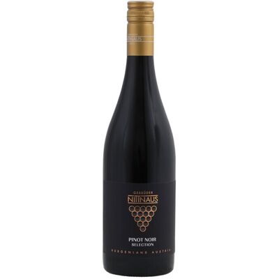Gebrüder Nittnaus Pinot Noir Selectie 2022 - 75cl Gebrüder Nittnaus Pinot Noir Selectie 2022 - 75cl