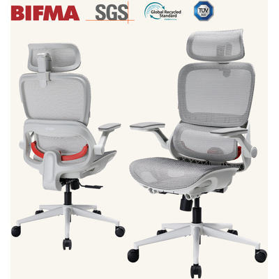 SIHOO B100 Ultra ergonomische bureaustoel, mesh bureaustoel met adaptieve lendensteun, computerstoel met brede hoofdsteun, bureaustoel met 360° draaibare opklapbare armleuningen, lichtgrijs SIHOO B100 Ultra ergonomische bureaustoel, mesh bureaustoel met adaptieve lendensteun, computerstoel met brede hoofdsteun, bureaustoel met 360° draaibare opklapbare armleuningen, lichtgrijs