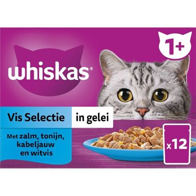 Whiskas Kattenvoer Nat Adult Vis Selectie in Gelei Multipack 12×85g Whiskas Kattenvoer Nat Adult Vis Selectie in Gelei Multipack 12×85g