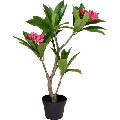 Overige Merken Kunstplant Plumeria 50x90 cm Roze/Groen Overige Merken Kunstplant Plumeria 50x90 cm Roze/Groen