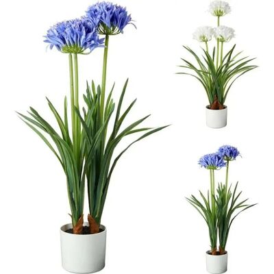 Overige Merken Kunstplant Agapanthus 50x80 cm Blauw/Wit Verschillende Uitvoeringen Overige Merken Kunstplant Agapanthus 50x80 cm Blauw/Wit Verschillende Uitvoeringen