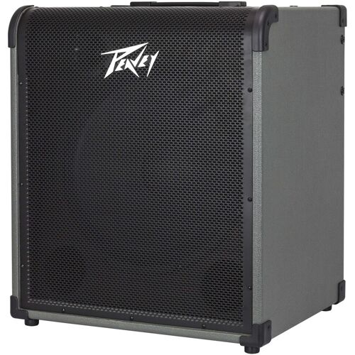 Peavey MAX 250 1 x 15 inch basgitaarversterker