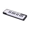 Arturia MicroLab Black USB/MIDI keyboard 25 toetsen