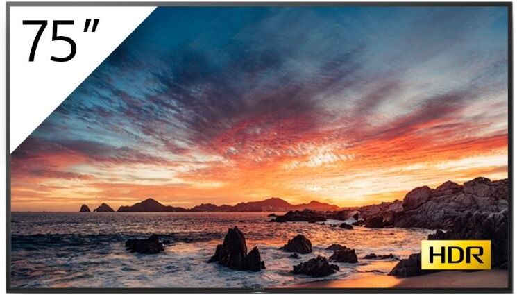 Sony FWD-75X80H/T/1 Android BRAVIA met Tuner