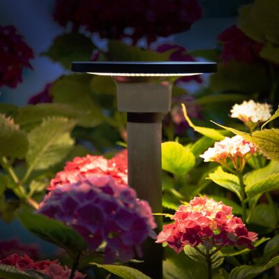 KS Verlichting Buitenlamp Shuttle led spike zwart KS Verlichting Buitenlamp Shuttle led spike zwart