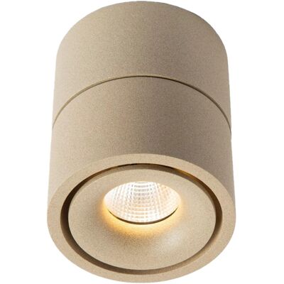 KS Verlichting Ole 1 Opbouwspot Champagne KS Verlichting Ole 1 Opbouwspot Champagne