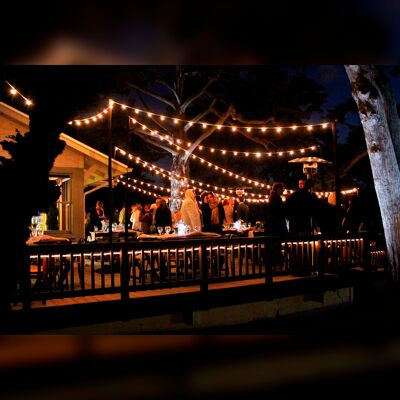 KS Verlichting Patio Lichtsnoer Helder 100m met 120 LED's KS Verlichting Patio Lichtsnoer Helder 100m met 120 LED's