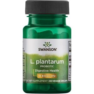 Swanson L. Plantarum Probiotikum - 10 Milliarder CFU - Fordøyelseshjelp Swanson L. Plantarum Probiotikum - 10 Milliarder CFU - Fordøyelseshjelp
