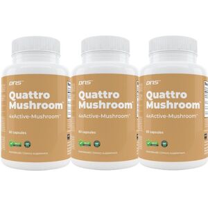 DNS 3-Pack Quattro Mushroom ™ 1600 Mg - 3 X 60 Kapsler DNS 3-Pack Quattro Mushroom ™ 1600 Mg - 3 X 60 Kapsler