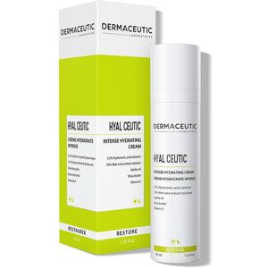 Dermaceutic Hyal Ceutic 40ml