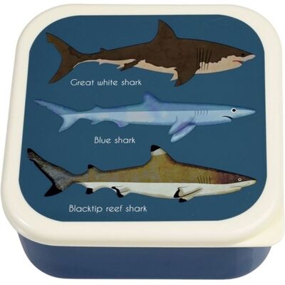 Rex London Snack Box 3-Pack, Haier Rex London Snack Box 3-Pack, Haier