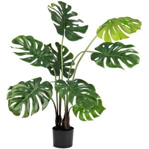 Standard produsent Monstera i potte 109 cm