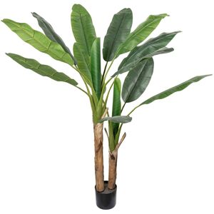 Standard produsent Plante Banantre 135cm