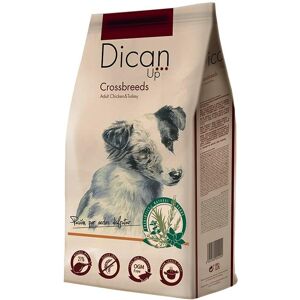 Dican Up Dog Adult Crossbreeds Chicken & Turkey for Blandingsraser 14 kg