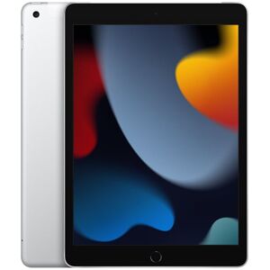 Apple Ipad 10,2'' 4g (9.Gen) 256gb, Sølv