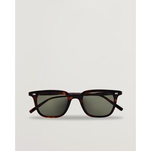 Eyevan 7285 359 Sunglasses Tortoise