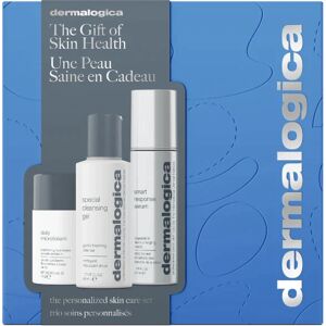 Dermalogica The Personalized Skin Care Set