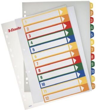 ESSELTE Register PP A4+ for PC-print 1-12 100214