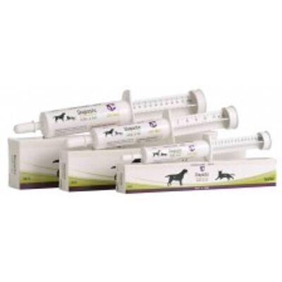 Scanvet Diapaste Hund Og Katt (60ml) Scanvet Diapaste Hund Og Katt (60ml)