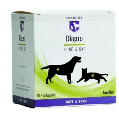 Scanvet Diapro 10 X10 Kapsler Scanvet Diapro 10 X10 Kapsler