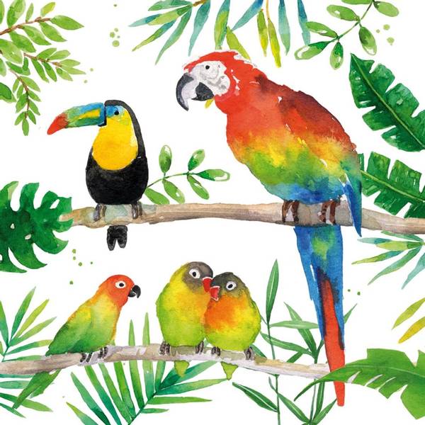 PPD Middagsservietter Tropical Birds Fra Ppd