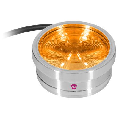 Ape Labs ApeCoin V2 IP Ape Labs ApeCoin V2 IP