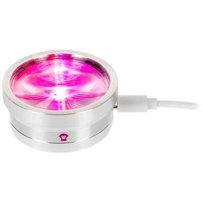 Ape Labs ApeCoin USB-C Ape Labs ApeCoin USB-C