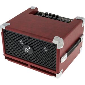 Phil Jones BG-110 Bass Cub Combo