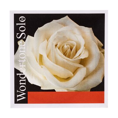 Pirastro Wondertone Solo E Violin 4/4 Pirastro Wondertone Solo E Violin 4/4
