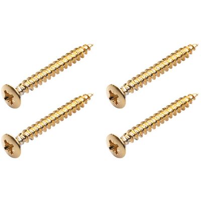 Warwick Screws for Bolt-On Necks G Warwick Screws for Bolt-On Necks G