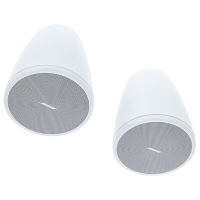 Bose DesignMax DM3P Hengende Høyttaler - Passiv, Sett av 2, Hvit Bose DesignMax DM3P Hengende Høyttaler - Passiv, Sett av 2, Hvit