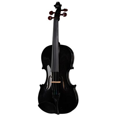 Stentor SR1401 Harlequin Violin 4/4 BK Stentor SR1401 Harlequin Violin 4/4 BK