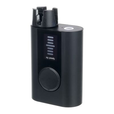 Band Industries Roadie 3 Tuner Band Industries Roadie 3 Tuner