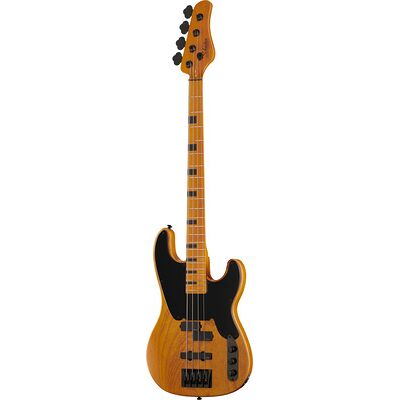 Schecter Model-T Session-4 ANS Schecter Model-T Session-4 ANS