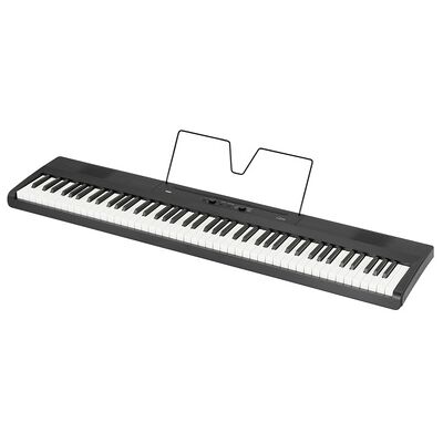 Korg Liano Korg Liano
