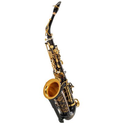 Selmer Signature Alto Sax SE-ASIB Selmer Signature Alto Sax SE-ASIB