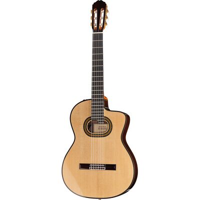 Takamine DH90 w/Softcase Takamine DH90 w/Softcase