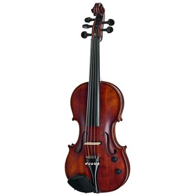 Roth & Junius Acoustic-Electric Violin 5-Str Roth & Junius Acoustic-Electric Violin 5-Str