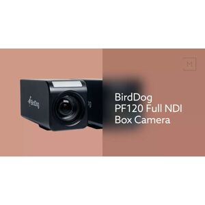 BirdDog PF120 Full NDI Box Camera