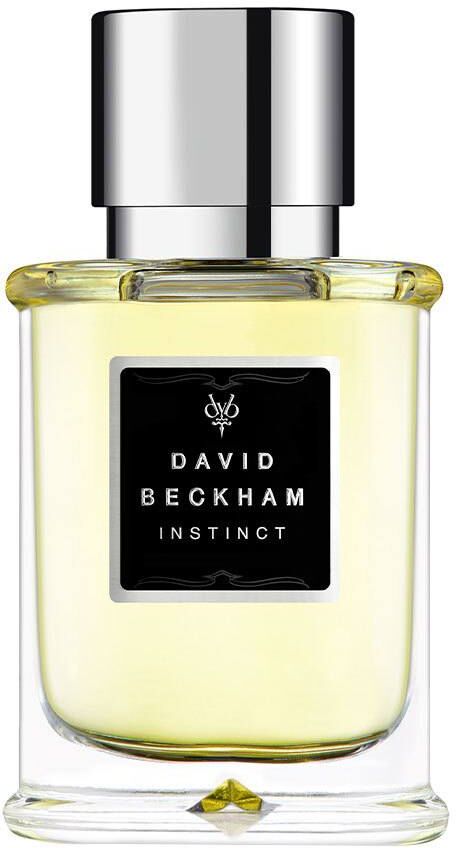 David Beckham Instinct Eau de Toilette 30ml