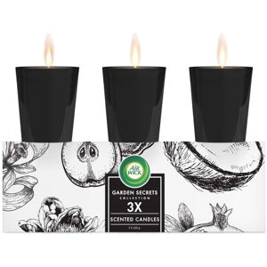 Air Wick Garden Secrets Scented Candles Gift Pack Mixed Fragrances 220 g 3 stk.