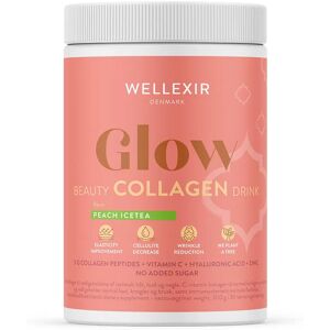 Wellexir Glow Beauty Drink Peach Ice Tea 360 g