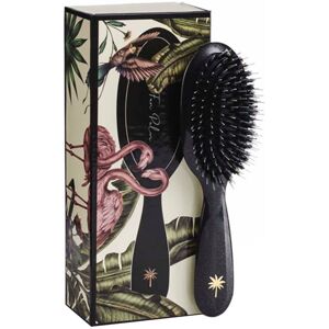 Fan Palm Hair Brush Small Stardust