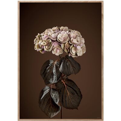 ChiCura Majestically Brown 70X100CM Patterned 70X100CM ChiCura Majestically Brown 70X100CM Patterned 70X100CM