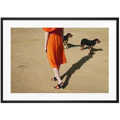 Democratic Gallery Poster Walking Dogs 50X70 Orange 50X70 Democratic Gallery Poster Walking Dogs 50X70 Orange 50X70